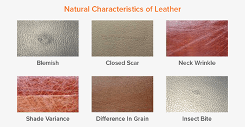 Chart with diagrams of leather blemishes